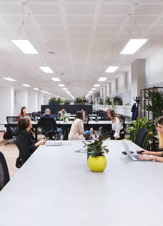 Marketopia Digital Agency Office Team